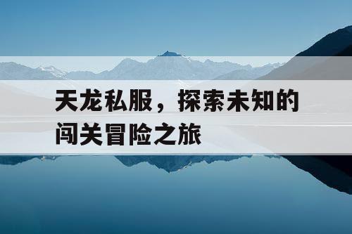 天龙私服，探索未知的闯关冒险之旅