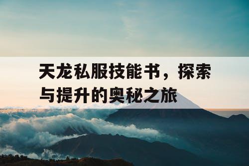 天龙私服技能书，探索与提升的奥秘之旅