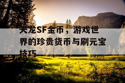 天龙SF金币，游戏世界的珍贵货币与刷元宝技巧