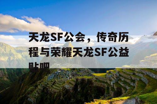 天龙SF公会，传奇历程与荣耀天龙SF公益贴吧