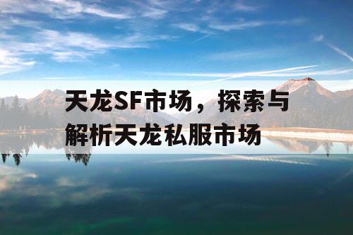 天龙SF市场，探索与解析天龙私服市场