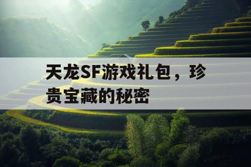 天龙SF游戏礼包，珍贵宝藏的秘密