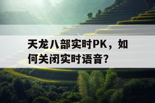 天龙八部实时PK，如何关闭实时语音？