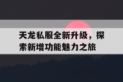 天龙私服全新升级，探索新增功能魅力之旅