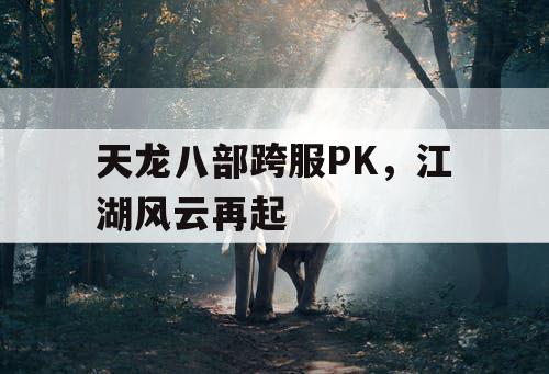 天龙八部跨服PK，江湖风云再起