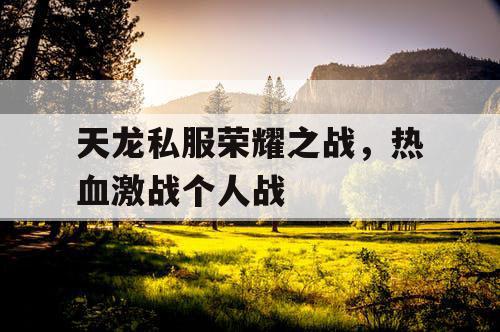 天龙私服荣耀之战，热血激战个人战