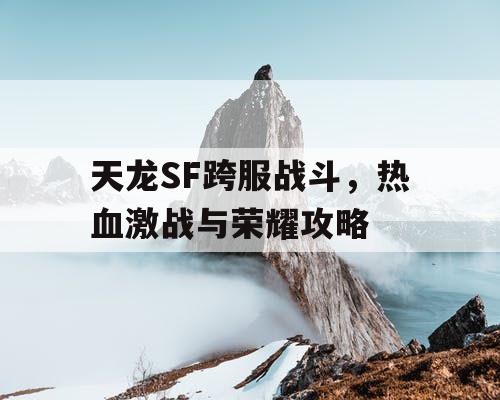 天龙SF跨服战斗，热血激战与荣耀攻略