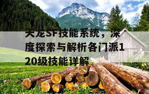 天龙SF技能系统，深度探索与解析各门派120级技能详解