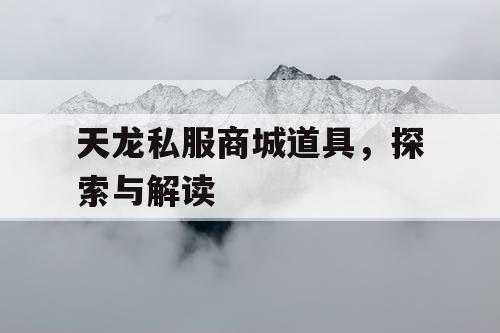 天龙私服商城道具，探索与解读