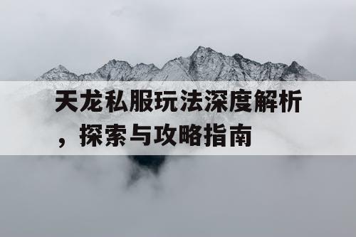 天龙私服玩法深度解析，探索与攻略指南