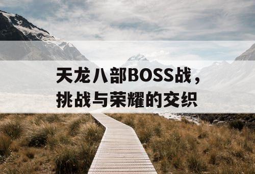 天龙八部BOSS战，挑战与荣耀的交织