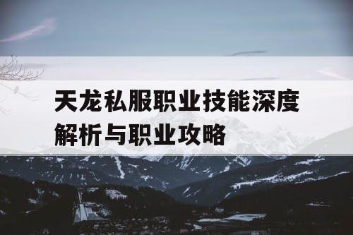 天龙私服职业技能深度解析与职业攻略