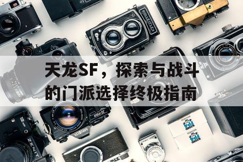 天龙SF，探索与战斗的门派选择终极指南