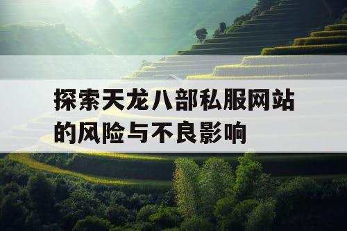 探索天龙八部私服网站的风险与不良影响