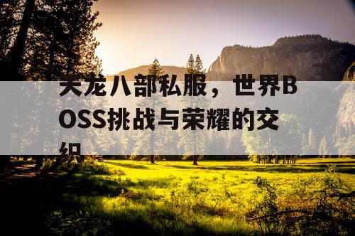 天龙八部私服，世界BOSS挑战与荣耀的交织