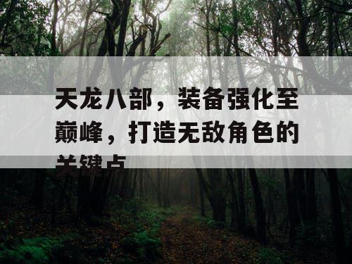 天龙八部，装备强化至巅峰，打造无敌角色的关键点