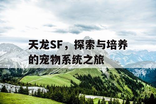 天龙SF，探索与培养的宠物系统之旅