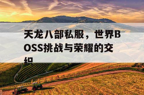 天龙八部私服，世界BOSS挑战与荣耀的交织