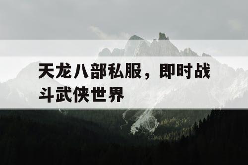 天龙八部私服，即时战斗武侠世界