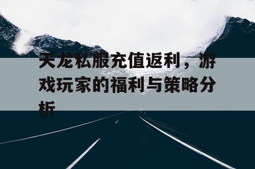 天龙私服充值返利，游戏玩家的福利与策略分析