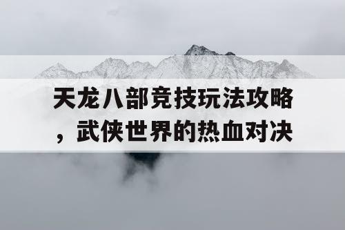 天龙八部竞技玩法攻略，武侠世界的热血对决