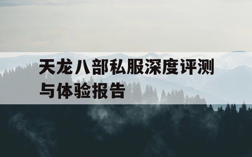 天龙八部私服深度评测与体验报告