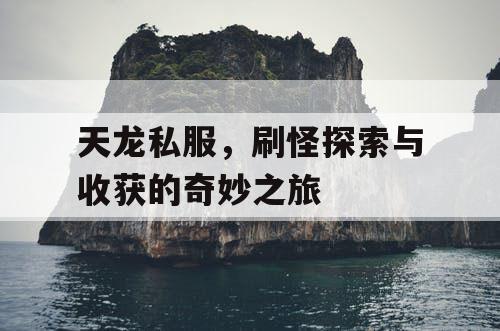 天龙私服，刷怪探索与收获的奇妙之旅