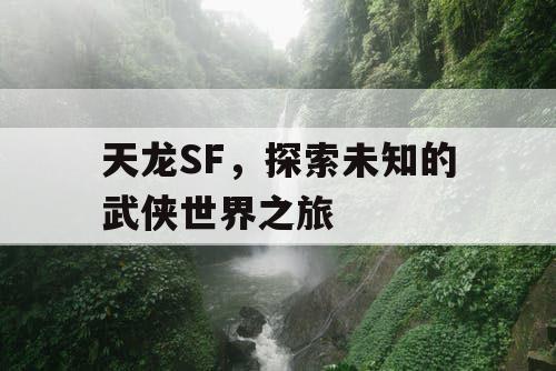 天龙SF，探索未知的武侠世界之旅