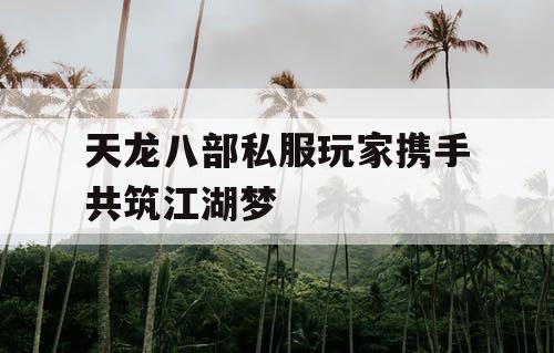 天龙八部私服玩家携手共筑江湖梦