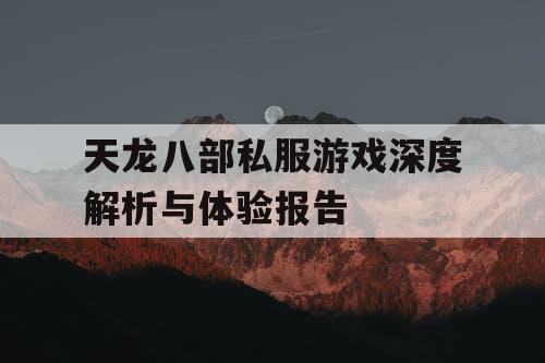 天龙八部私服游戏深度解析与体验报告