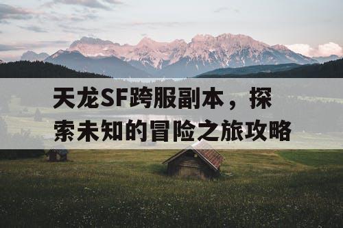 天龙SF跨服副本，探索未知的冒险之旅攻略