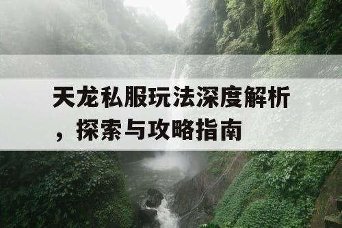 天龙私服玩法深度解析，探索与攻略指南