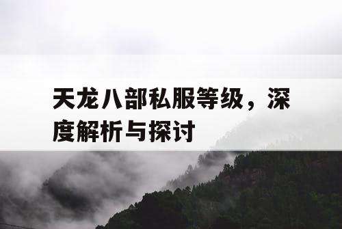 天龙八部私服等级，深度解析与探讨