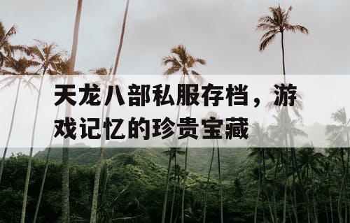 天龙八部私服存档，游戏记忆的珍贵宝藏