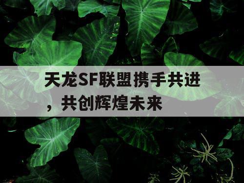 天龙SF联盟携手共进，共创辉煌未来