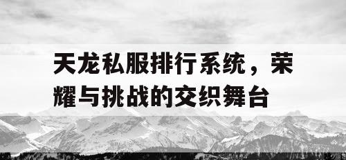 天龙私服排行系统，荣耀与挑战的交织舞台