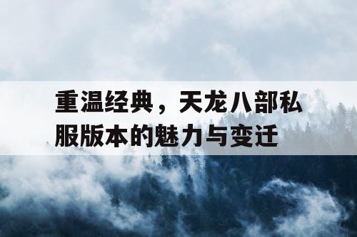 重温经典，天龙八部私服版本的魅力与变迁