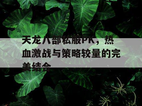 天龙八部私服PK，热血激战与策略较量的完美结合