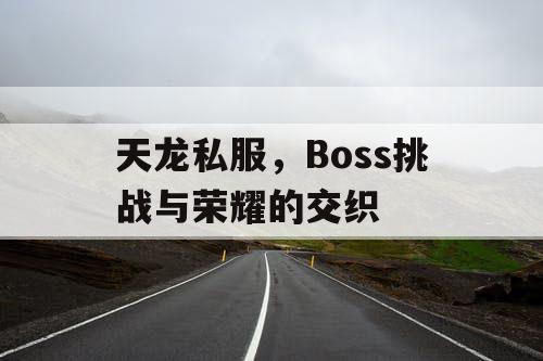 天龙私服，Boss挑战与荣耀的交织