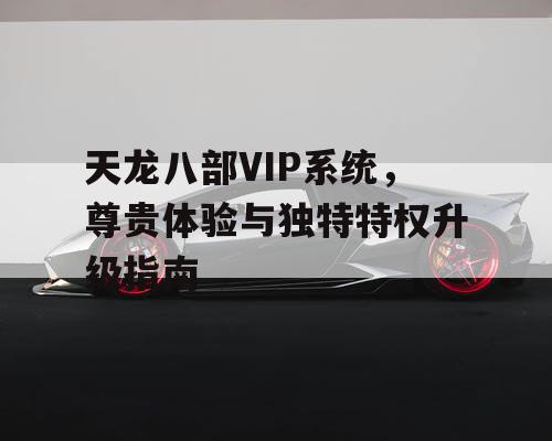 天龙八部VIP系统	，尊贵体验与独特特权升级指南