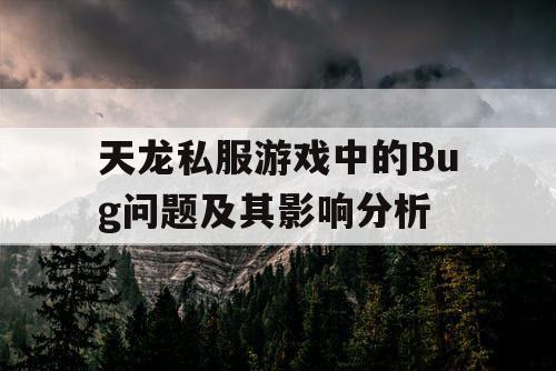 天龙私服游戏中的Bug问题及其影响分析