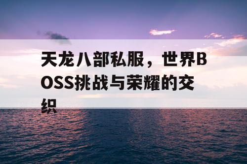 天龙八部私服，世界BOSS挑战与荣耀的交织