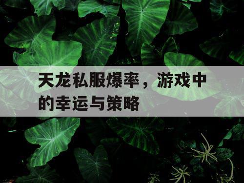 天龙私服爆率，游戏中的幸运与策略