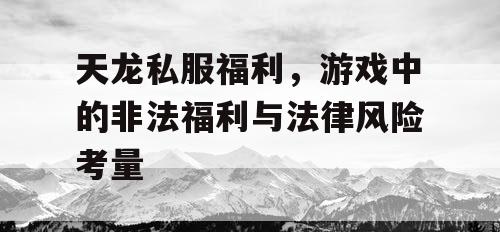 天龙私服福利，游戏中的非法福利与法律风险考量