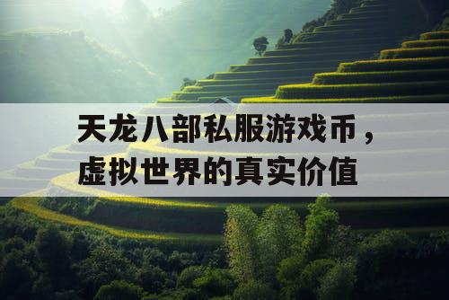 天龙八部私服游戏币，虚拟世界的真实价值