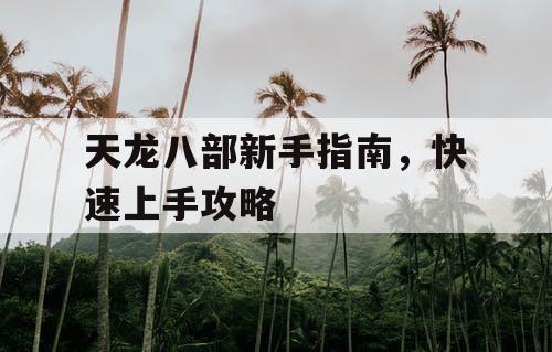 天龙八部新手指南，快速上手攻略