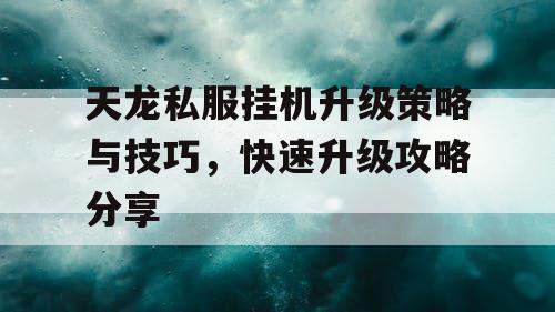 天龙私服挂机升级策略与技巧，快速升级攻略分享