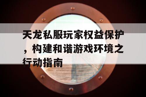 天龙私服玩家权益保护，构建和谐游戏环境之行动指南