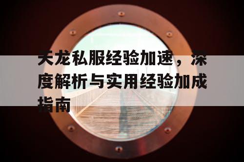 天龙私服经验加速，深度解析与实用经验加成指南