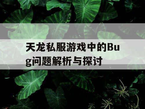 天龙私服游戏中的Bug问题解析与探讨